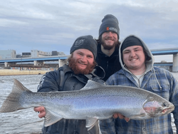 Salmon Splash in Lake Michigan